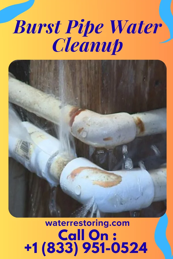 Burst Pipe Water Cleanup in Cambridge Springs, PA
