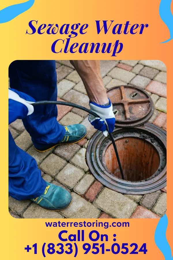 Sewage Water Cleanup in Cambridge Springs, PA